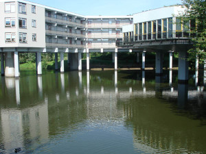 DSC05529